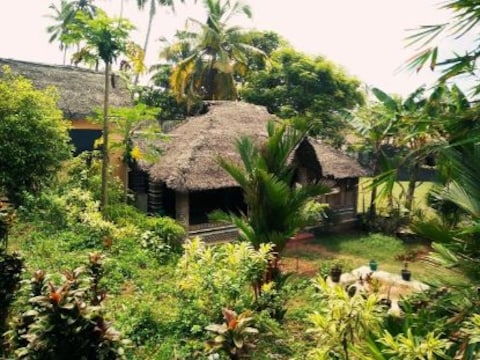 Palmtree Bungalow
